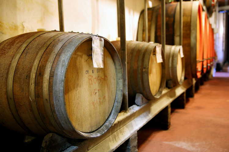 Agriturismo Palazzo Bandino - Potrai visitare i vigneti a gestione familiare